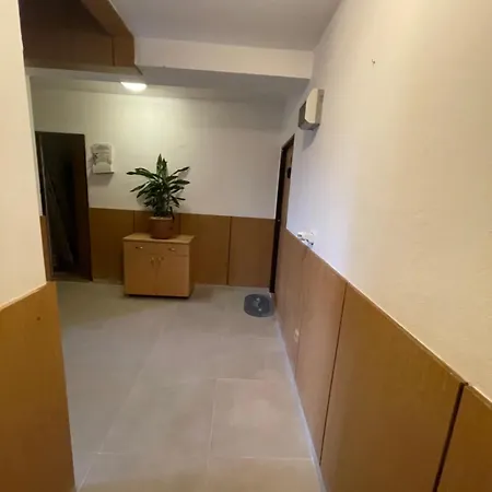 Cindy Hotel 4*